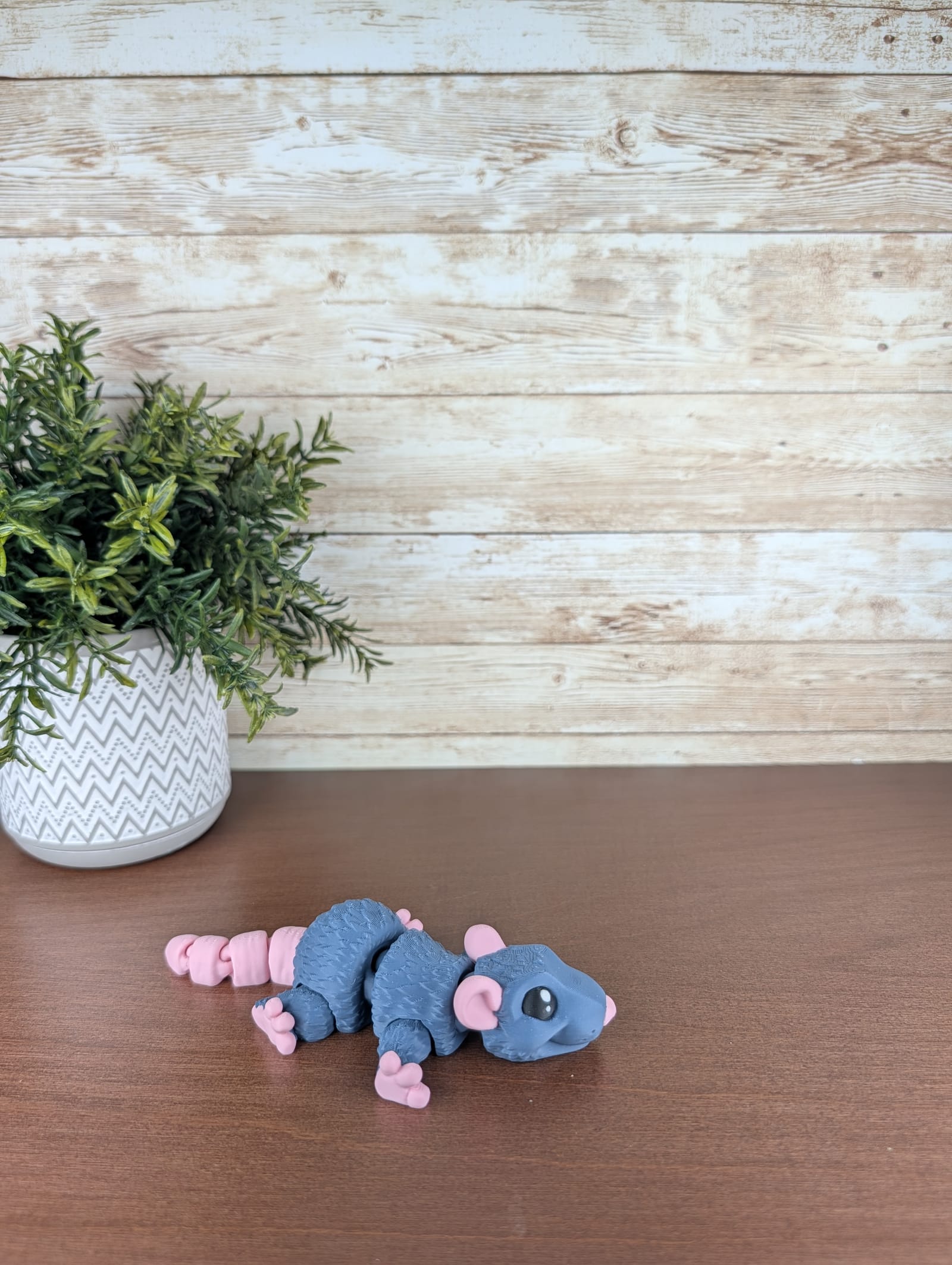 Grey Rat