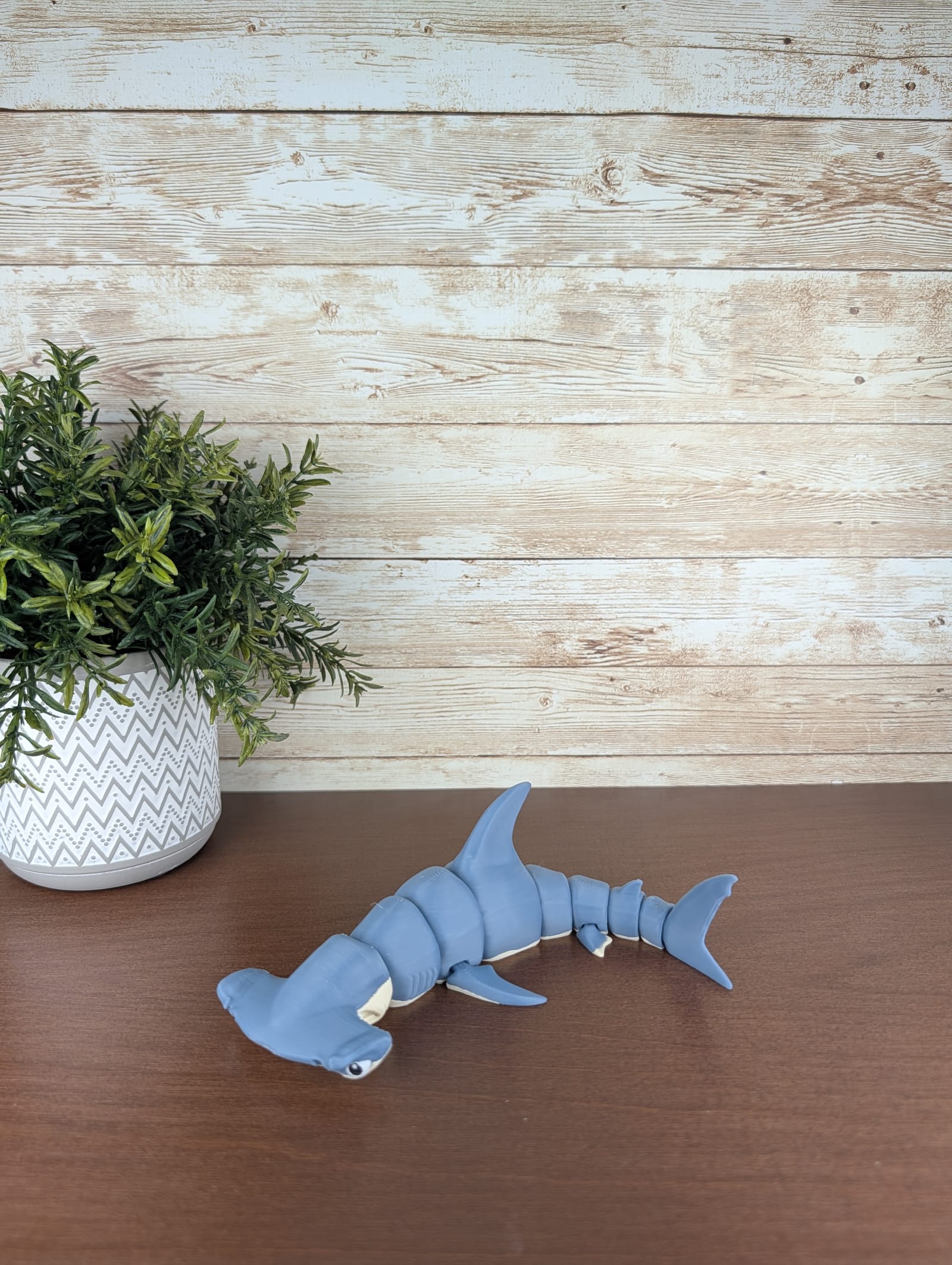 Hammerhead Shark