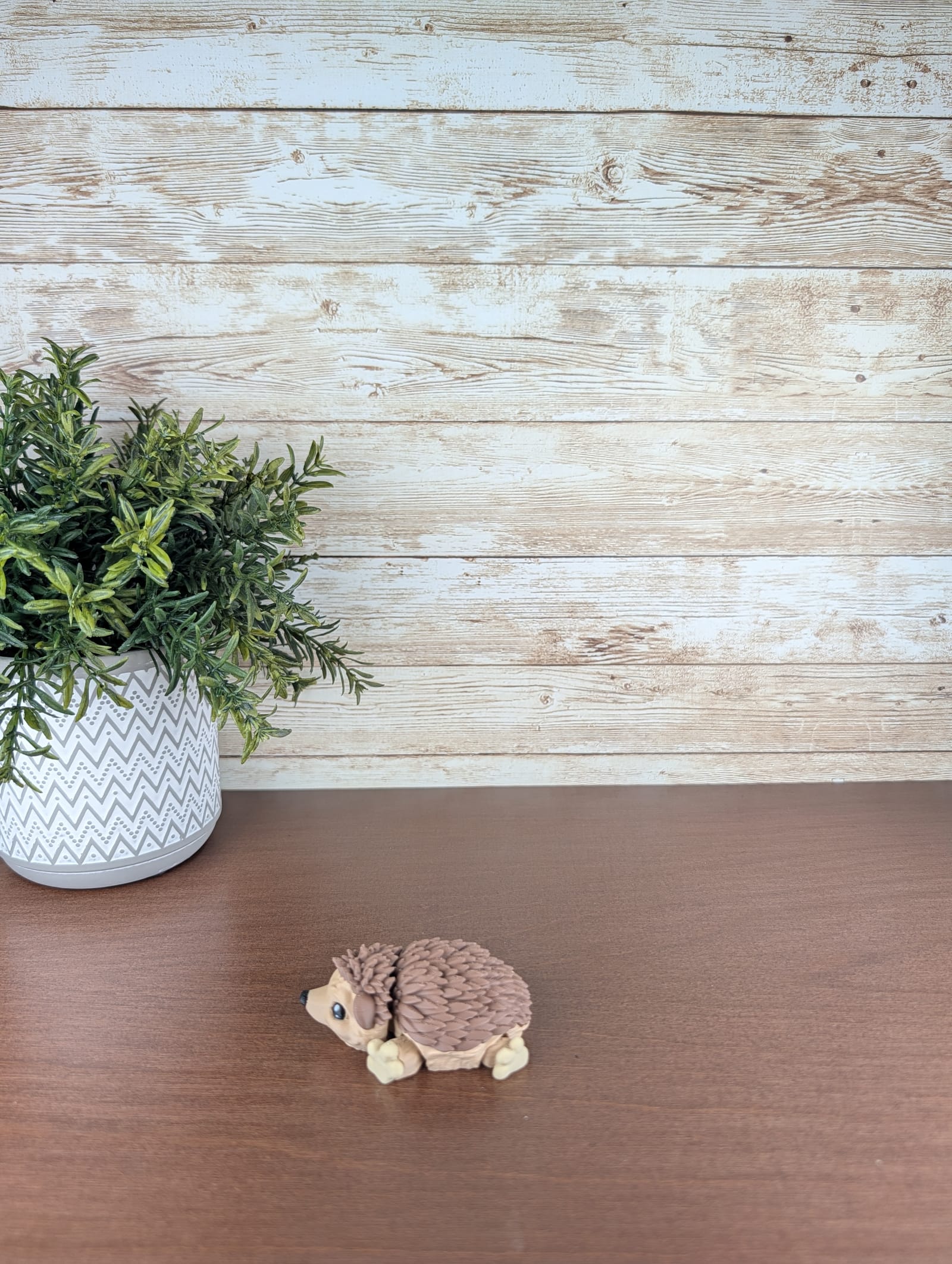Hedgehog