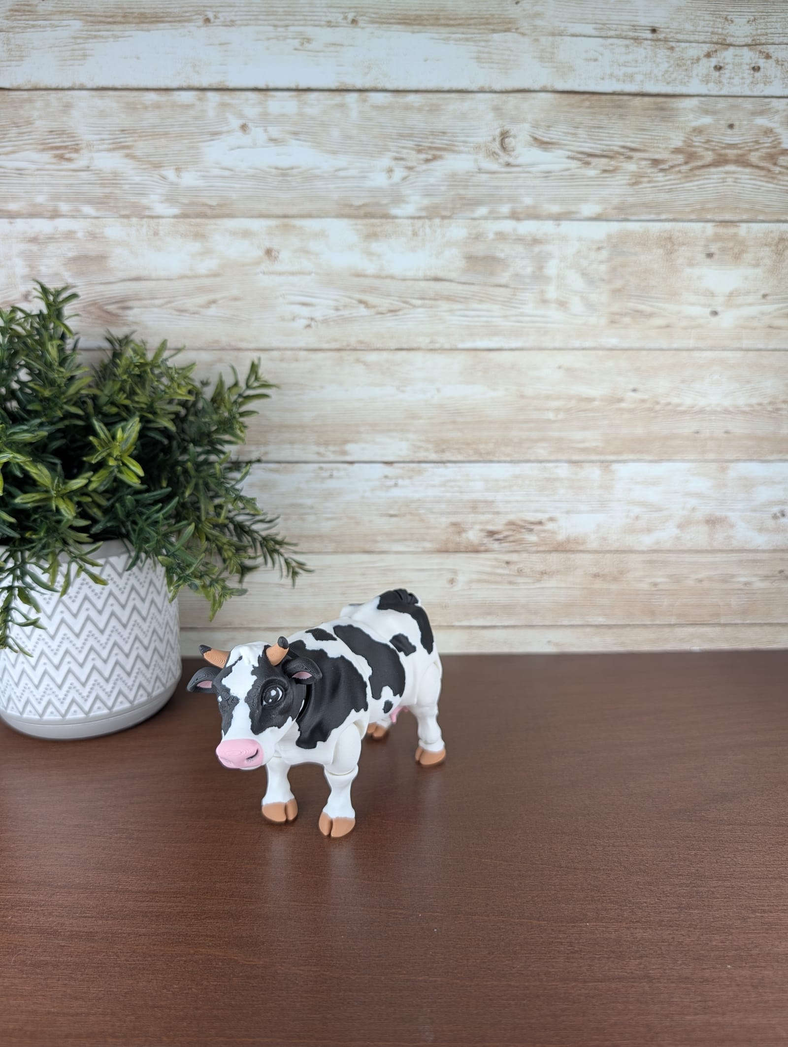 Holstein Cow