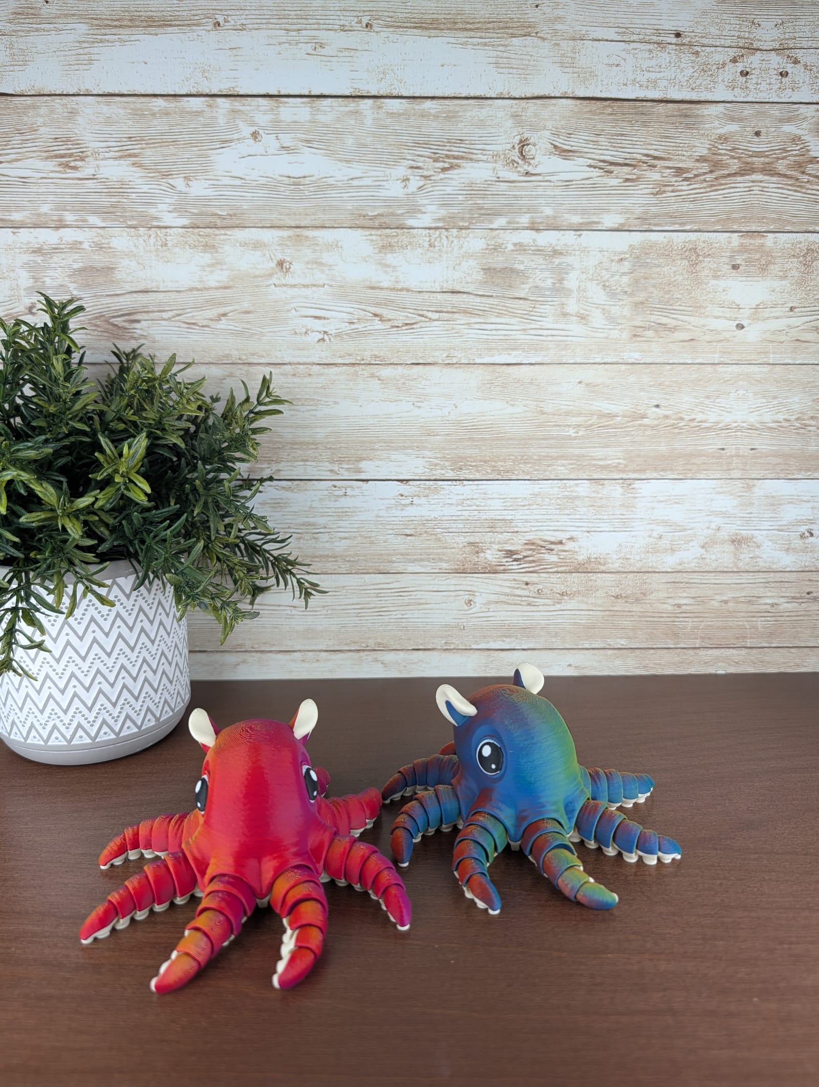 Octopus