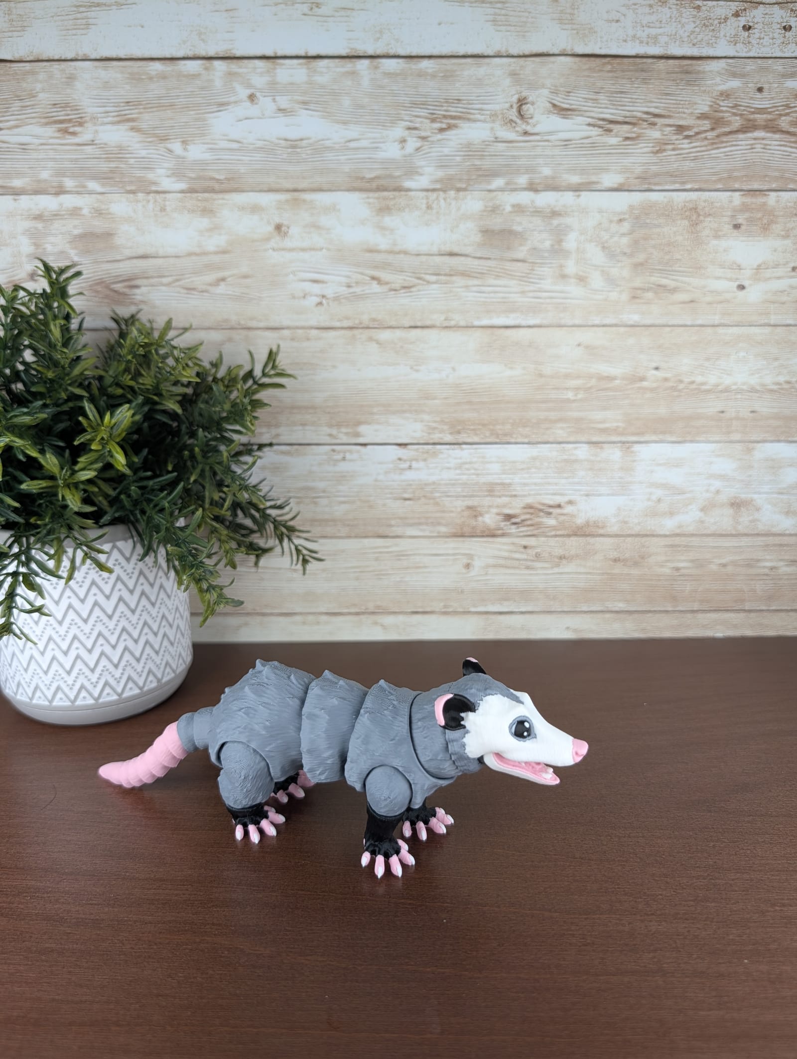 Possum