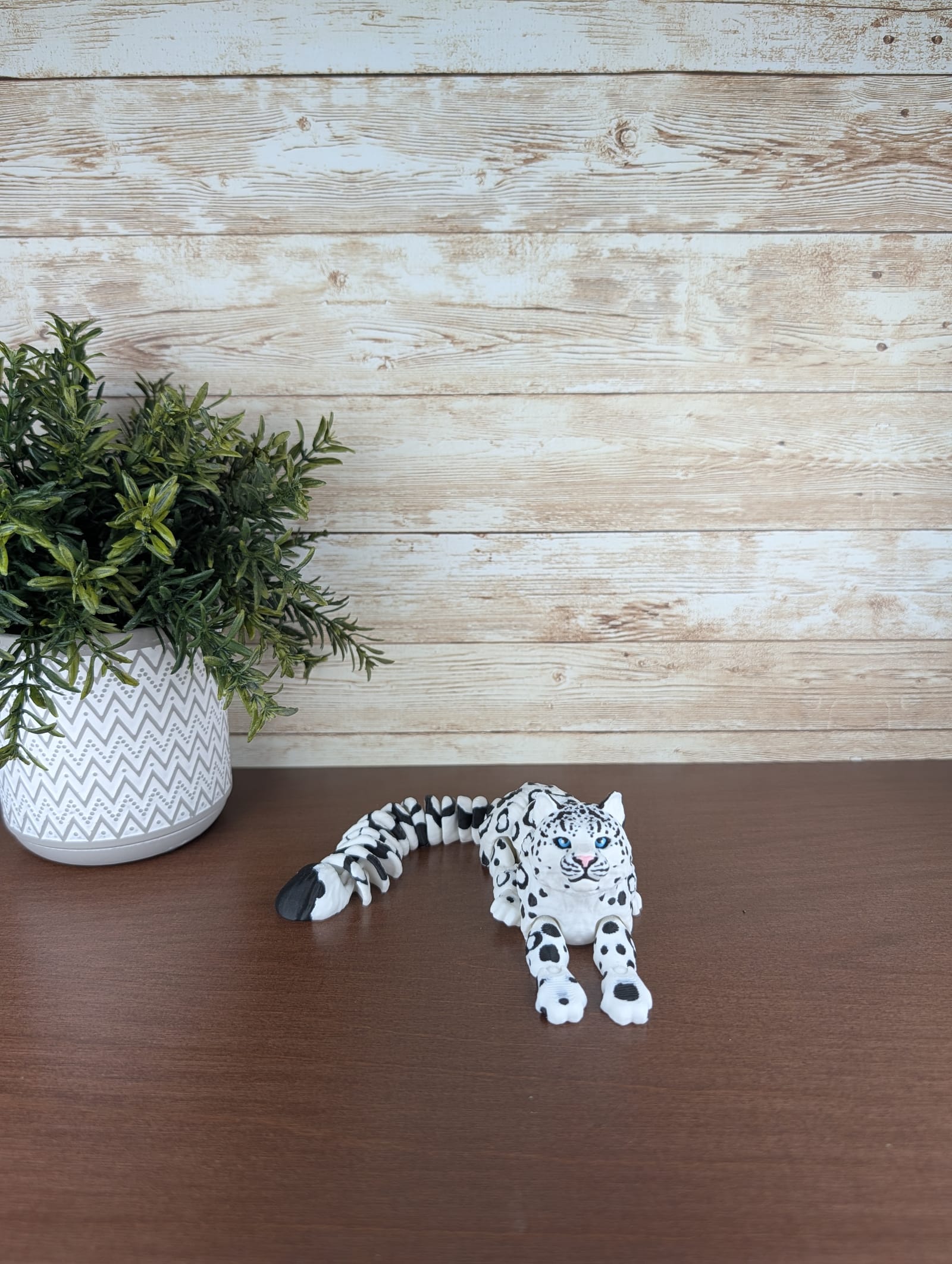 Snow Leopard