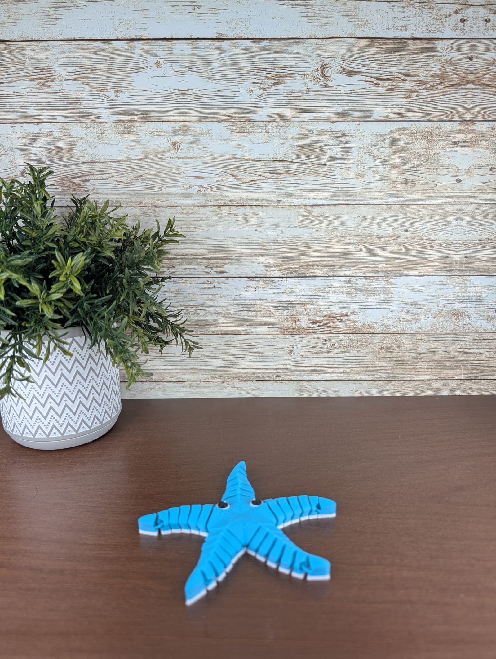 Ocean Starfish