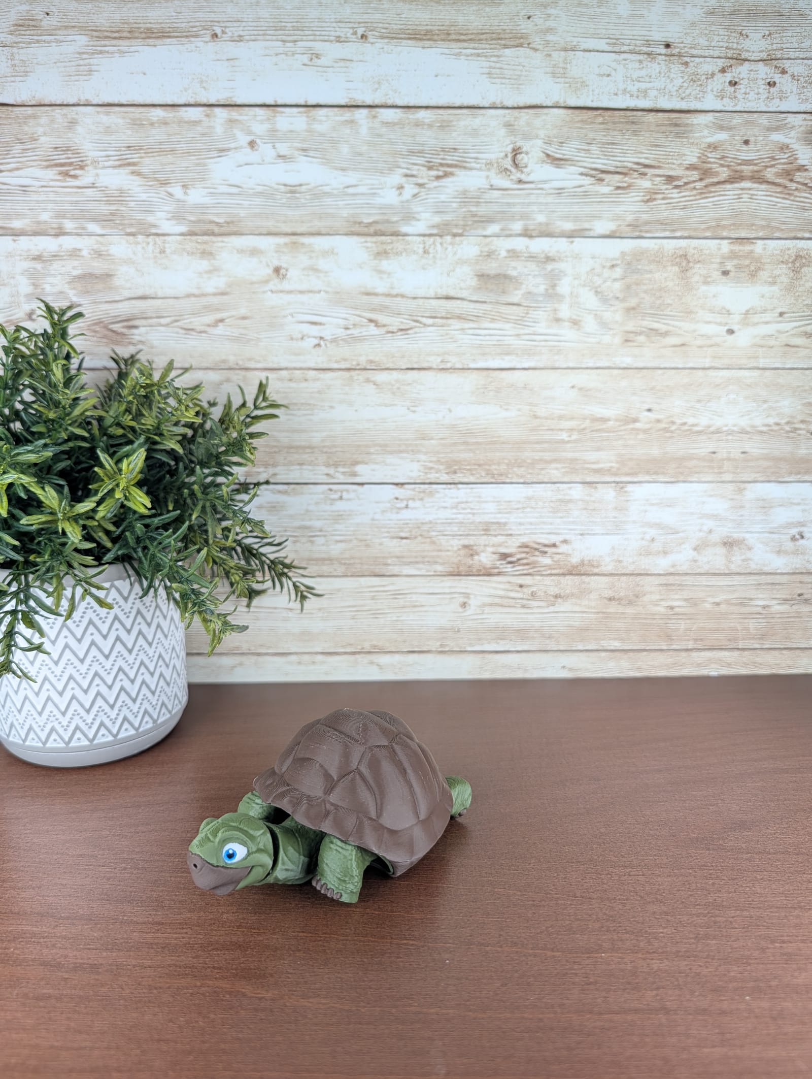 Turtle